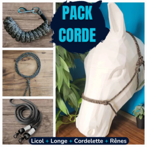 Cheval licol ethologique corde paracorde muserolle rêne cordelette poignée selle