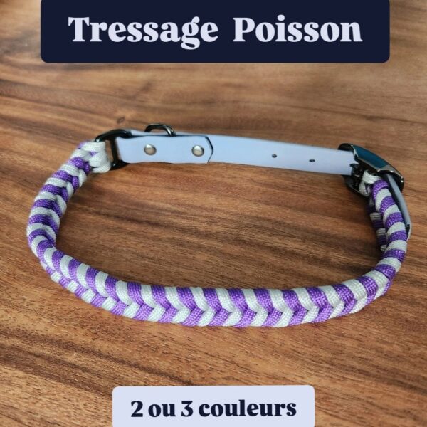 Collier chien paracorde corde tressage biothane